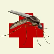 mosquito control Long Beach Island