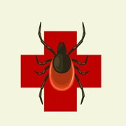 tick control Long Beach Island