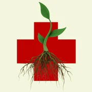 weed removal LBI